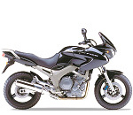 Yamaha TDM 900 (02-11)