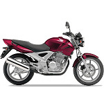 Honda CBF250 (04-06)